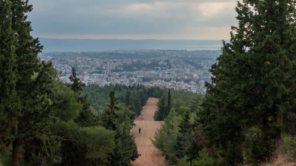 Θεσσαλονίκη: Συνελήφθη 51χρονος που έσφαξε και έγδαρε αρνί στο δάσος