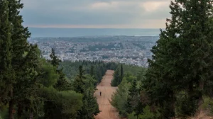 Θεσσαλονίκη: Συνελήφθη 51χρονος που έσφαξε και έγδαρε αρνί στο δάσος