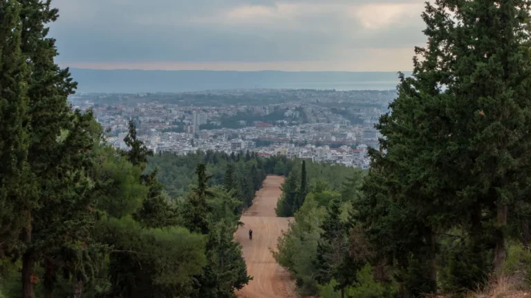 Θεσσαλονίκη: Συνελήφθη 51χρονος που έσφαξε και έγδαρε αρνί στο δάσος