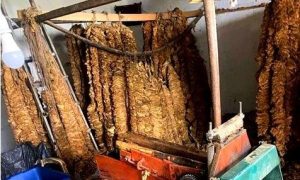 Μεγάλη κατάσχεση καπνού στην Ξάνθη
