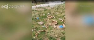 Φρίκη στον Ίασμο: Νεκρά ζώα εντοπίστηκαν σε παλιές εγκαταστάσεις της ΕΑΣ