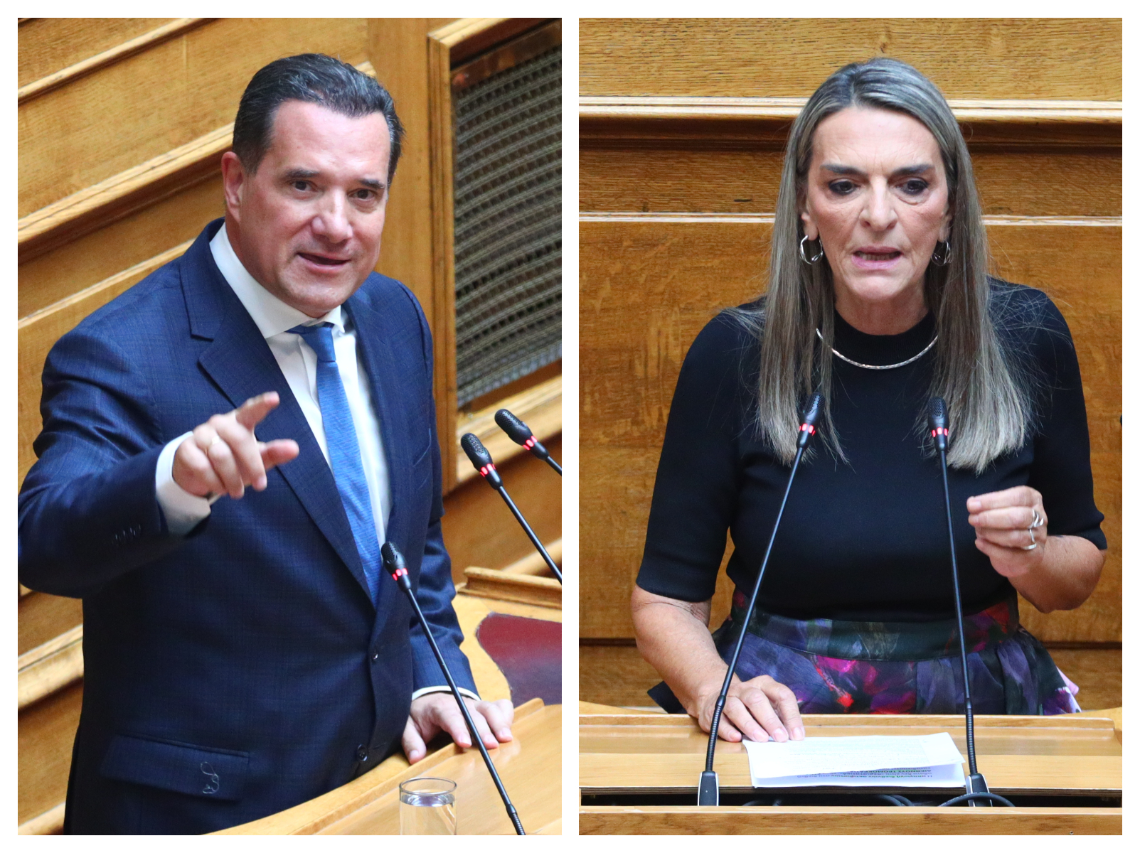 Σφοδρή αντιπαράθεση Γεωργιάδη – Πέρκα: «Πήγατε στη Γάζα για τη σέλφι» – «Είστε ακροδεξιός»