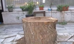 Πτώση δέντρου στο Μοναστηράκι: Αναστάτωση στον πεζόδρομο της Ανδριανού