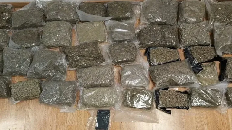 Ελ. Βενιζέλος: Σύλληψη 28χρονου με 19 κιλά κάνναβη