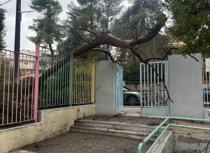 Αγία Παρασκευή: Πτώση δέντρου στην αυλόπορτα νηπιαγωγείου
