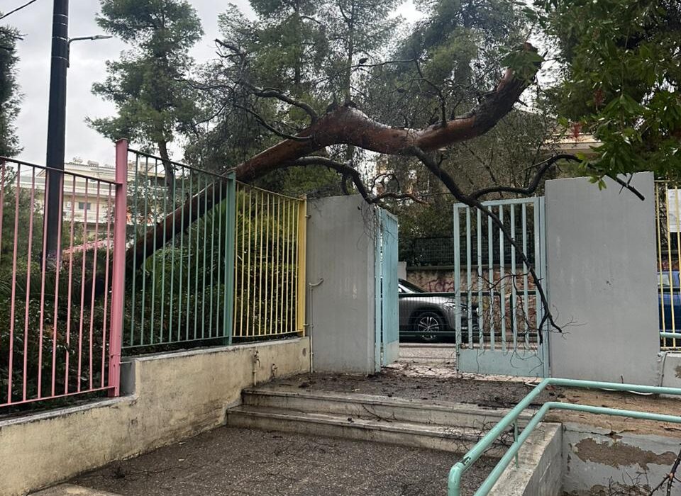 Αγία Παρασκευή: Πτώση δέντρου στην αυλόπορτα νηπιαγωγείου
