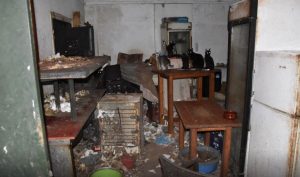 Δονούσα: Φρίκη με 58 γάτες φυλακισμένες μέσα σε σκουπίδια και βρωμιά