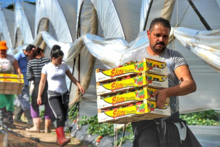 Εισαγωγή 80.000 εργαζομένων από τρίτες χώρες – Ποιες ειδικότητες καλύπτονται