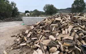 Αττική: Πού θα δοθούν δωρεάν καυσόξυλα αυτή την εβδομάδα – Ημέρα και ώρες διάθεσης