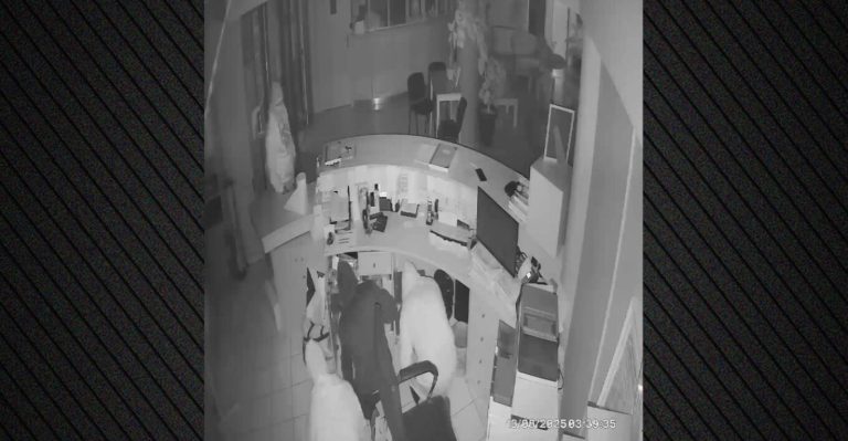 Στη φυλακή τα μέλη της συμμορίας που έκλεβαν χρηματοκιβώτια