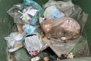 Φρίκη στη Μεγαλόπολη: Σκυλίτσα εντοπίστηκε μέσα σε τσουβάλι σε κάδο απορριμμάτων(φωτο)