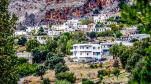ΕΛΑΣ – Βορίζια: Νέα αστυνομική επιχείρηση με δύο προσαγωγές