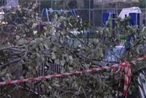 Από θαύμα δεν υπήρξαν τραυματισμοί: Δέντρο κατέρρευσε σε παιδική χαρά στο Χαϊδάρι(VID)