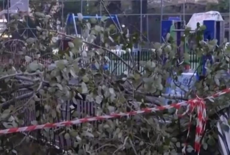 Από θαύμα δεν υπήρξαν τραυματισμοί: Δέντρο κατέρρευσε σε παιδική χαρά στο Χαϊδάρι(VID)
