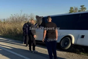 Λαμία: Σχολικό λεωφορείο κατέληξε σε χαντάκι(VID)