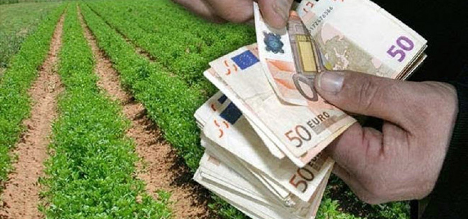 ΕΛΓΑ: Ρυθμίσεις για τις εισφορές και τις αποζημιώσεις
