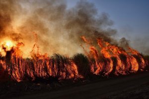 Αλλάζει η στρατηγική πρόληψης των δασικών πυρκαγιών