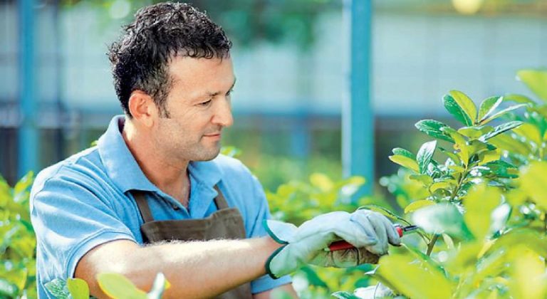 ΔΗΚΕ Νισύρου: Νέες θέσεις εργασίας για γεωλόγους
