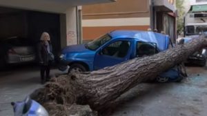 Θεσσαλονίκη: Πτώση δέντρου προκάλεσε ζημιές σε αυτοκίνητα