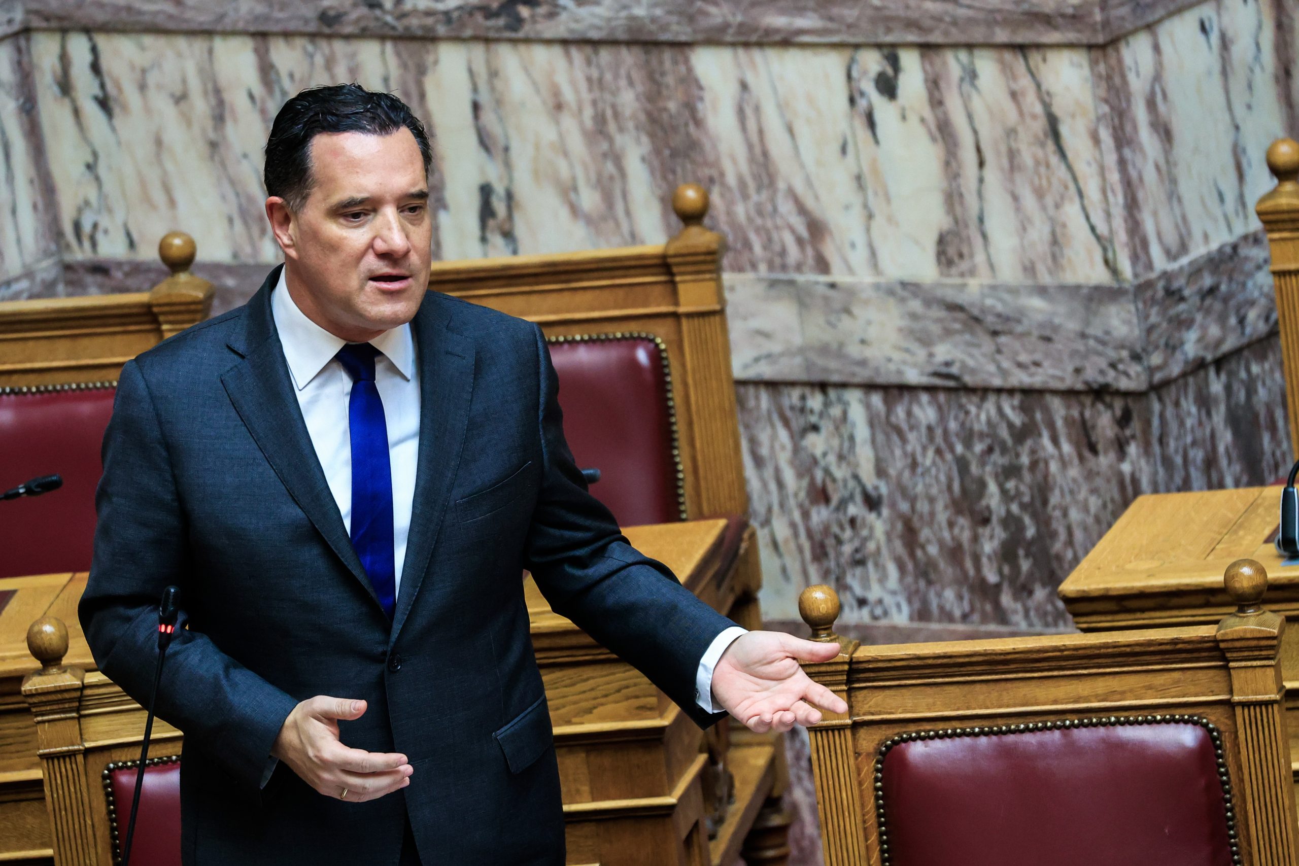 Γεωργιάδης κατά Καρυστιανού για τα ελληνοτουρκικά: «Ο λόγος της έχει ακροδεξιό πρόσημο»