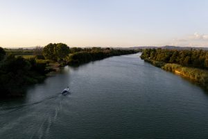 Νεκρά πρόβατα σε προχωρημένη αποσύνθεση στον ποταμό Αλφειό