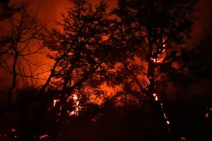 Συναγερμός στην Παταγονία: Εκτός ελέγχου οι πυρκαγιές