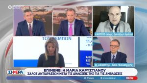 Ψαρόπουλος: «Ο αγώνας των συγγενών δεν είναι προσωπική υπόθεση της Καρυστιανού»