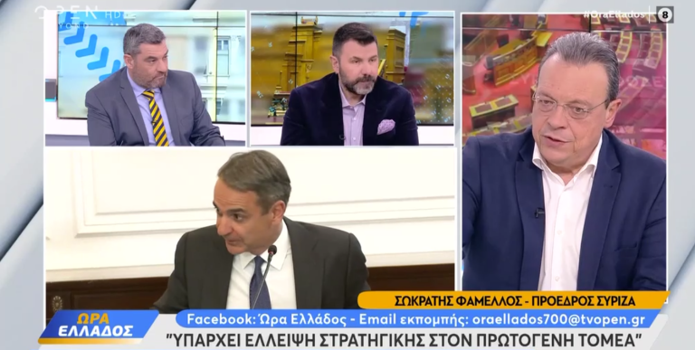 Φάμελλος κατά Μητσοτάκη: «Οξύτατη ανεπάρκεια στο αγροτικό – Η κυβέρνηση αποφεύγει τον διάλογο»