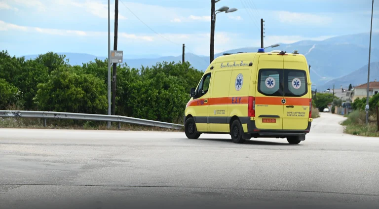 Κρήτη: Νεκρός 70χρονος πεζοπόρος στο δάσος του Ρούβα – Κατέρρευσε μπροστά στη σύζυγό του