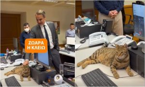 «Ζωάρα η Κλειώ»: Η γατούλα που έκλεψε την καρδιά του Μητσοτάκη
