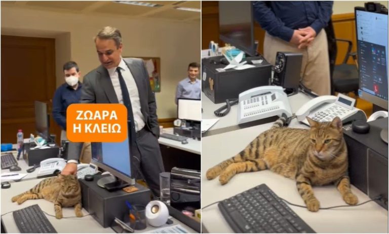 «Ζωάρα η Κλειώ»: Η γατούλα που έκλεψε την καρδιά του Μητσοτάκη