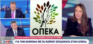 Μιχαηλίδου για ΟΠΕΚΑ: «Φαίνεται να εμπλέκεται και άλλο ένα πρόσωπο»