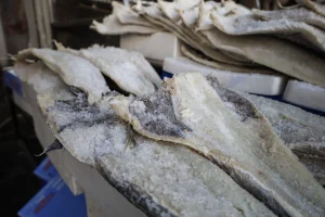 Γιατί τρώμε μπακαλιάρο την 25η Μαρτίου