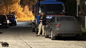 Νέα Μάκρη: Κακουργηματική δίωξη στους τρεις Τούρκους για τους πυροβολισμούς