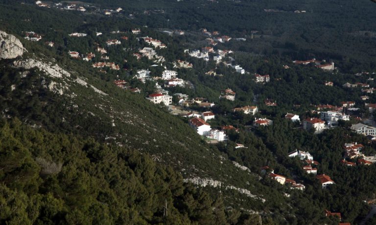 Πώς χιλιάδες οικόπεδα δηλώνονται δασικά από το Δημόσιο – Τι πρέπει να κάνουν οι ιδιοκτήτες