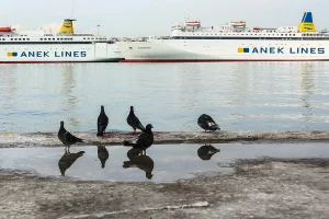 Καταργούνται 21 ασφαλιστικές καλύψεις