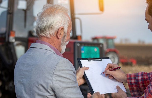 Ελαιόδεντρα: Πλήρης οδηγός για 500.000 ιδιοκτήτες –  Δείτε την αίτηση που πρέπει να υποβάλλετε