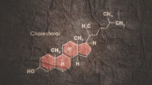 Νέα όρια για τη χοληστερόλη: Τι αλλάζει στην πρόληψη καρδιαγγειακών νοσημάτων