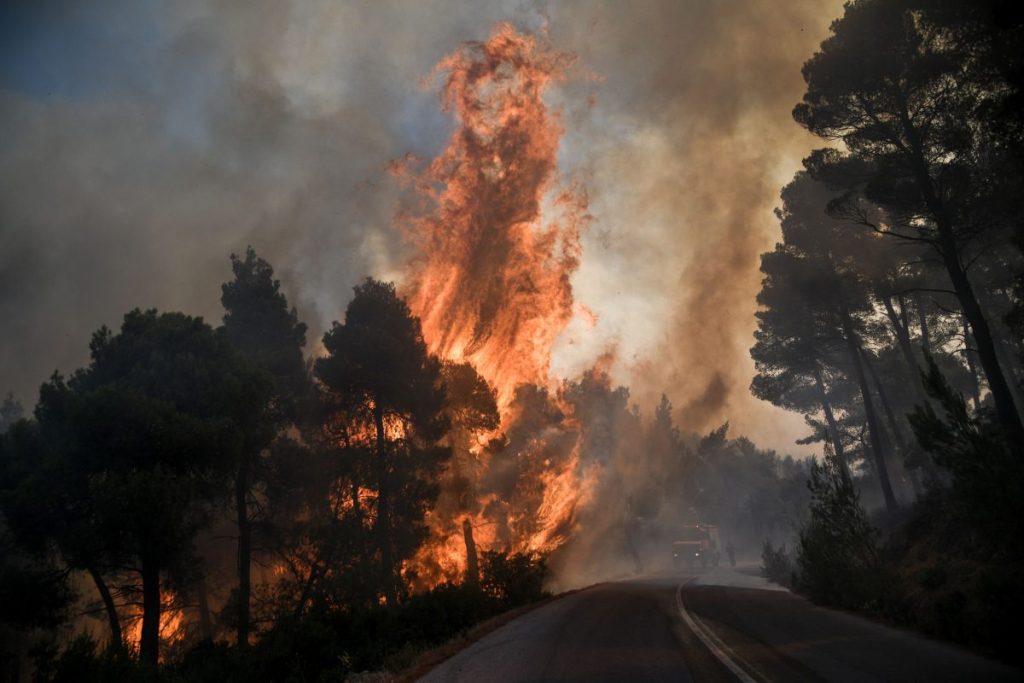 Συναγερμός στο Πήλιο: Μεγάλη φωτιά στο Νεοχώρι – Σε επιφυλακή η Πυροσβεστική