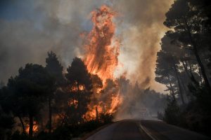 Βρετανία: Δασική πυρκαγιά στην ανατολική Αγγλία – Δεν απειλούνται οι πυρηνικοί σταθμοί της περιοχής