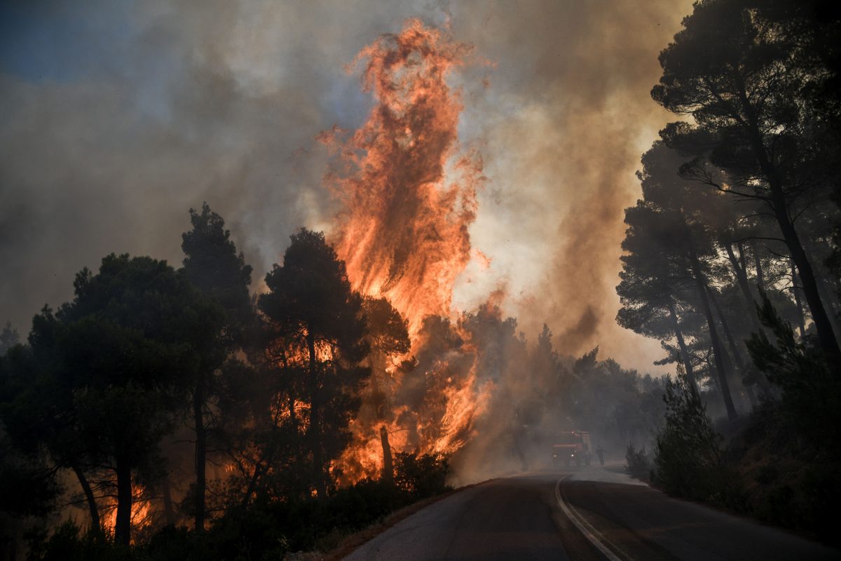 Συναγερμός στο Πήλιο: Μεγάλη φωτιά στο Νεοχώρι – Σε επιφυλακή η Πυροσβεστική