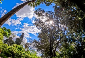 Δήμος Αθηναίων: Έρχεται δωρεάν καλοκαιρινό πρόγραμμα στον Εθνικό Κήπο