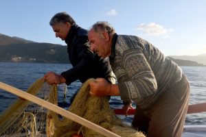 Επιδότηση πάνω από 5 ευρώ το κιλό για...