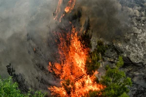 Ροδόπη: Επιχειρούν 42 πυροσβέστες και πέντε αεροσκάφη στη φωτιά της Παλαιάς Κρωβύλης