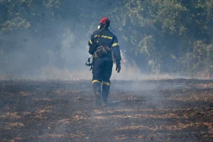 Βάρδα Ηλείας: Σε εξέλιξη η φωτιά – Ζημιές σε λιοστάσια και θερμοκήπια