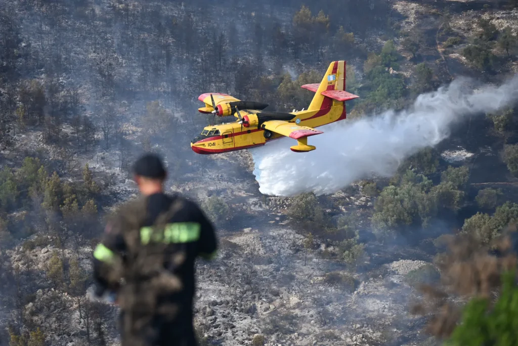 Εύβοια: Μεγάλη φωτιά σε δάσος στην Κάρυστο – Ισχυρές δυνάμεις στο σημείο