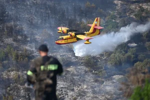 Εύβοια: Μεγάλη φωτιά σε δάσος στην Κάρυστο – Ισχυρές δυνάμεις στο σημείο