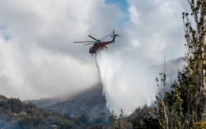 Φωτιά στην Εύβοια: Μήνυμα 112 για εκκένωση σε...