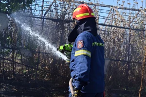Πυρκαγιές: Τι αλλάζει με τα 37 νέα κλιμάκια της Πυροσβεστικής