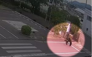 Ιαπωνία: Βίντεο καταγράφει τη στιγμή που αρκούδα επιτίθεται σε περαστικό